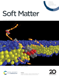 Soft Matter